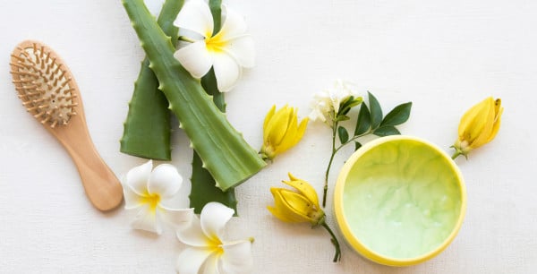 Receitas de Hidratação com Babosa para Cada Tipo de Cabelo: Cachos