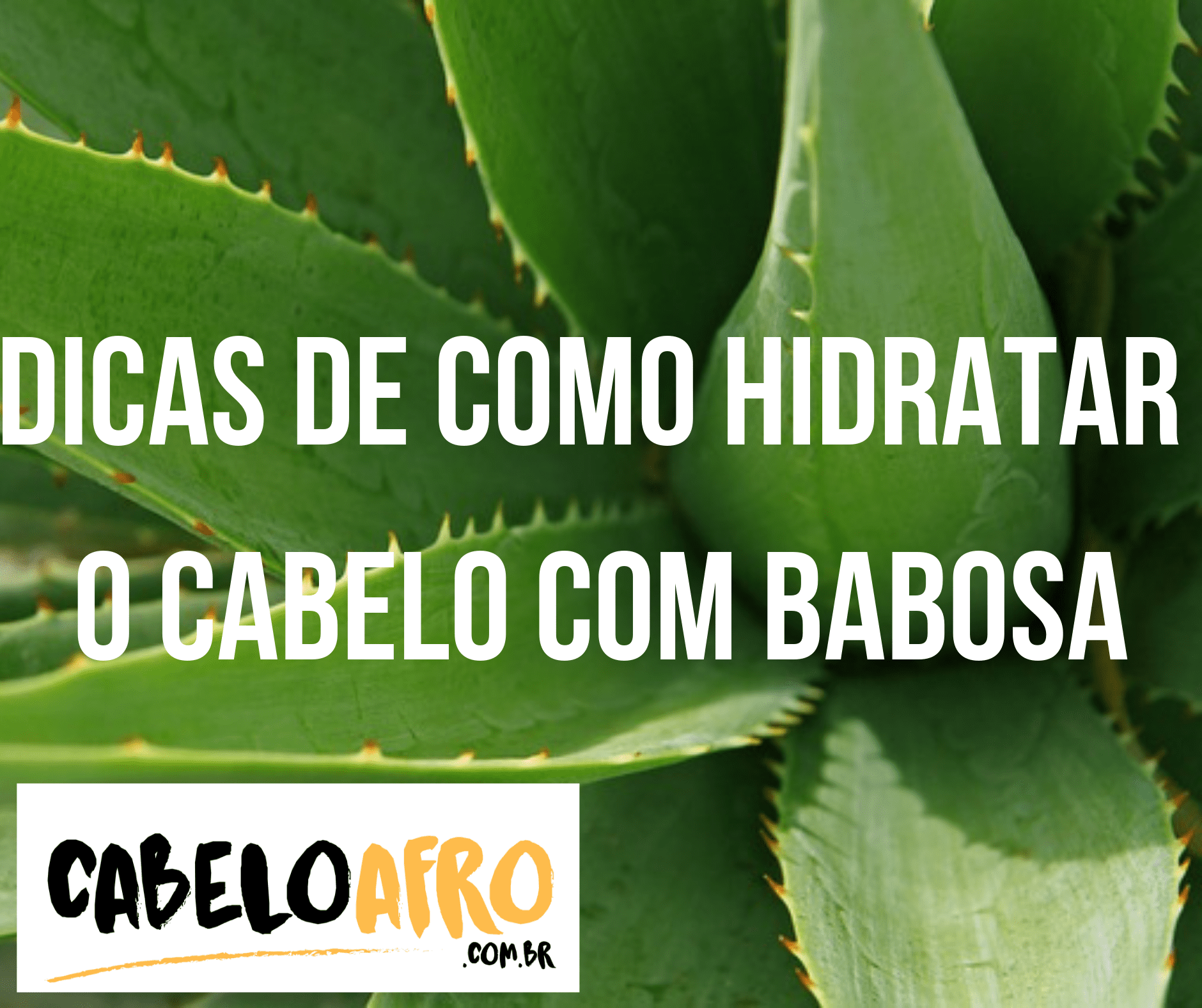 Como Remover a Aloína da Babosa Corretamente e Evitar Alergias