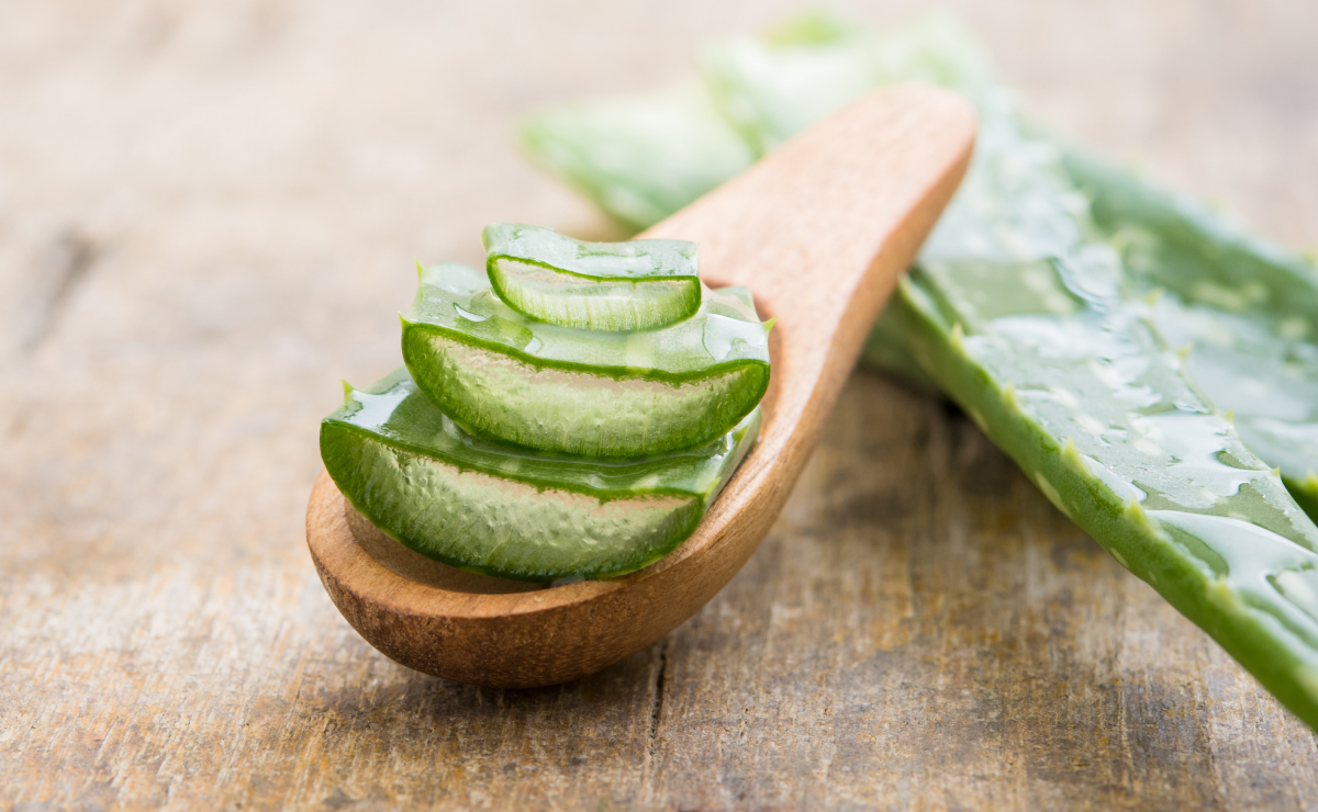 Receitas de Hidratação com Babosa para Cada Tipo de Cabelo: Cachos