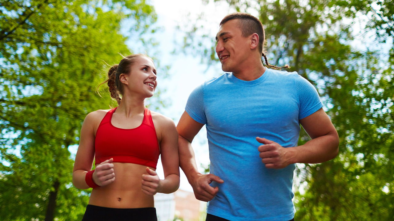 Descubra as Melhores Trilhas para Caminhada Perto de Você com AllTrails