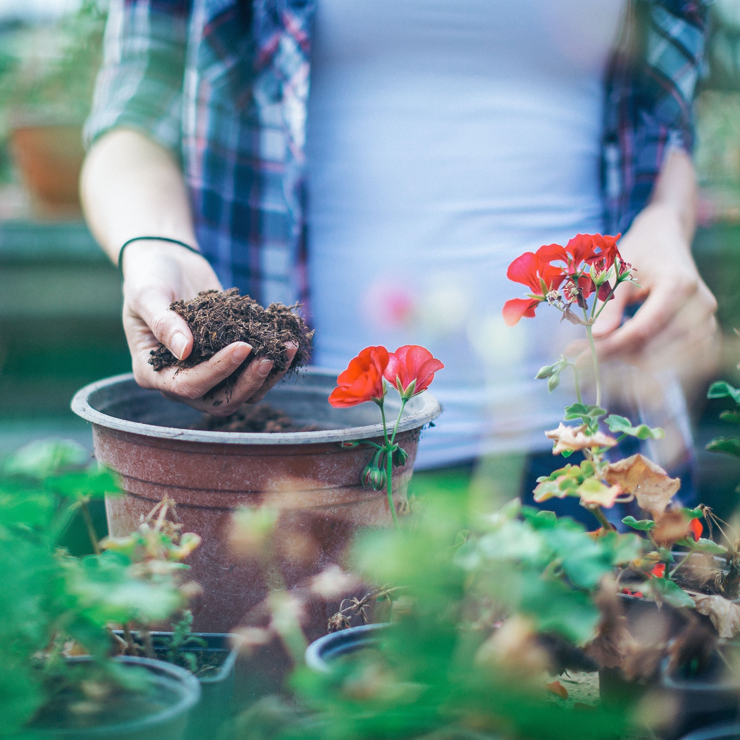 hobbies para fazer em casa