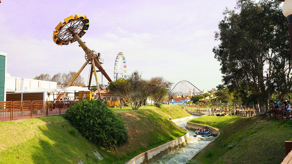 erros comuns ao planejar visita ao hopi hari