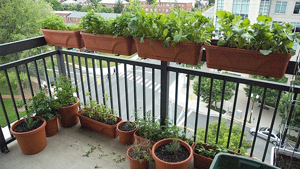 horta em apartamento