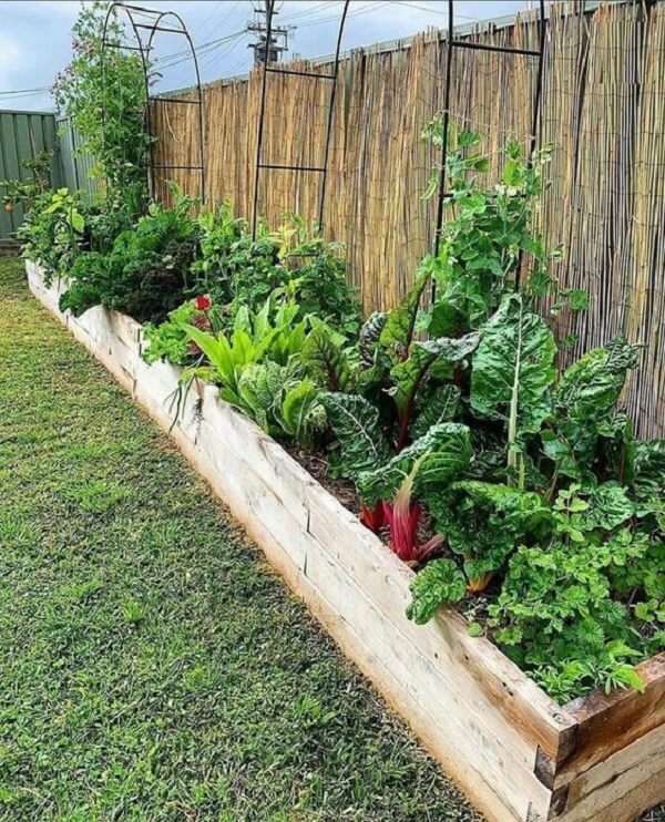 Top 5 Temperos Fáceis de Plantar para Iniciantes na Horta Caseira