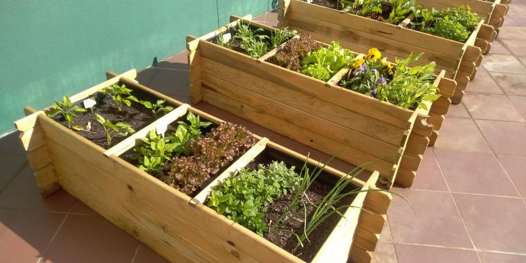 Guia Completo de Irrigação para Horta em Casa