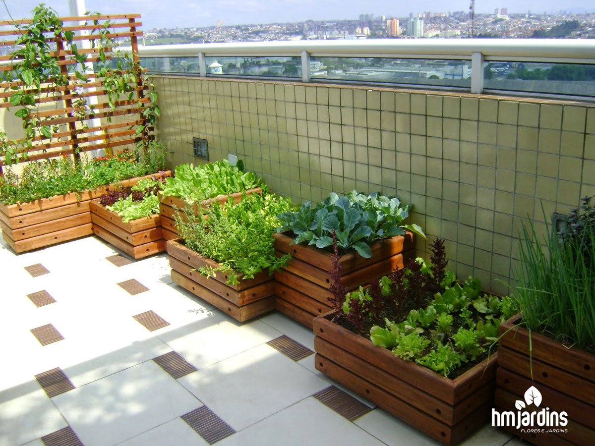 Guia Completo de Vasos Autoirrigáveis para Sua Horta