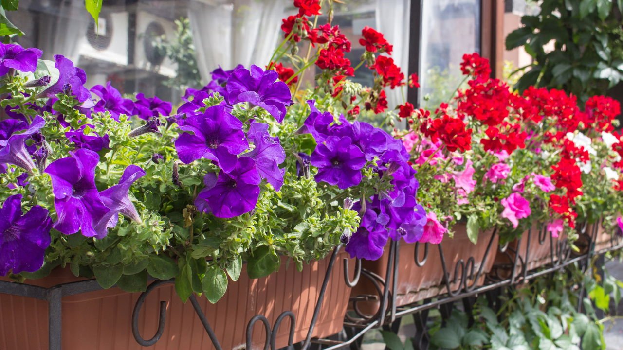drenagem para vasos grandes com isopor