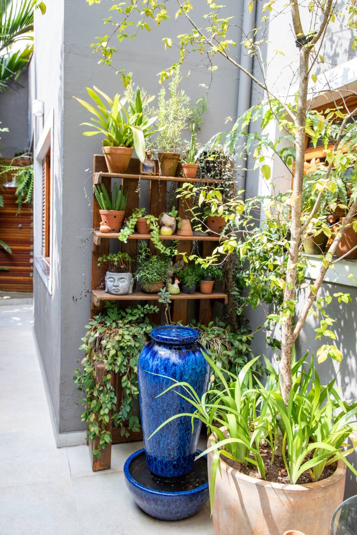 cultivo de raízes em vasos