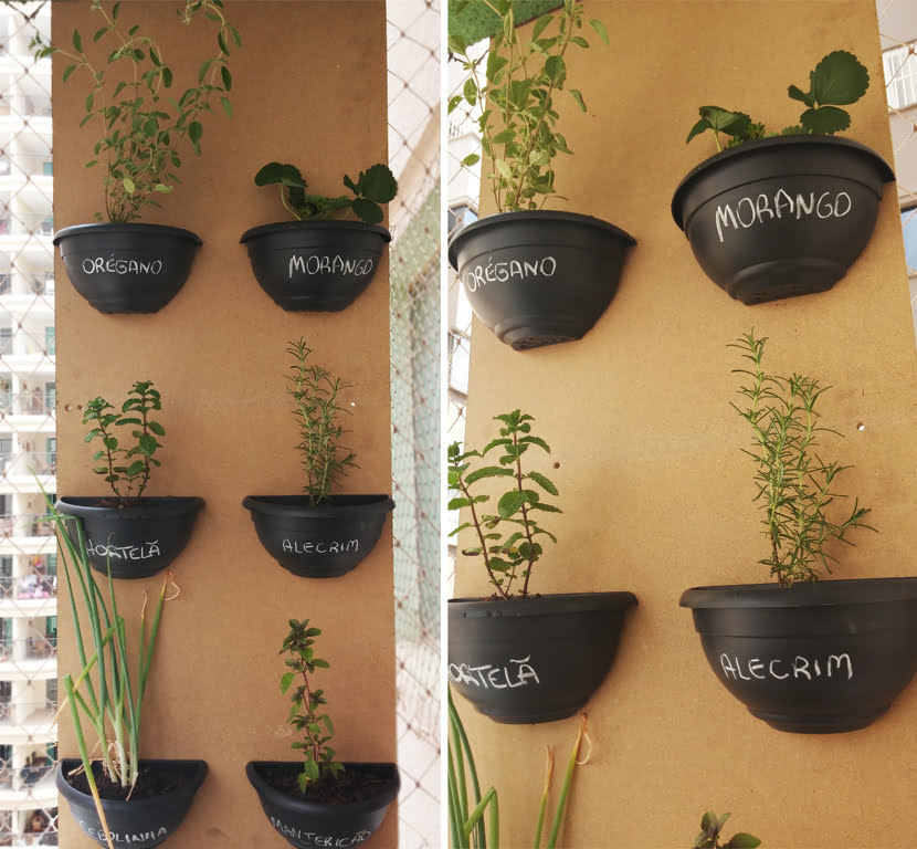 horta na lavanderia para apartamento