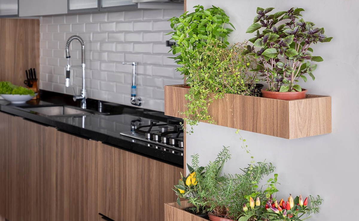 como fazer horta em espaço pequeno