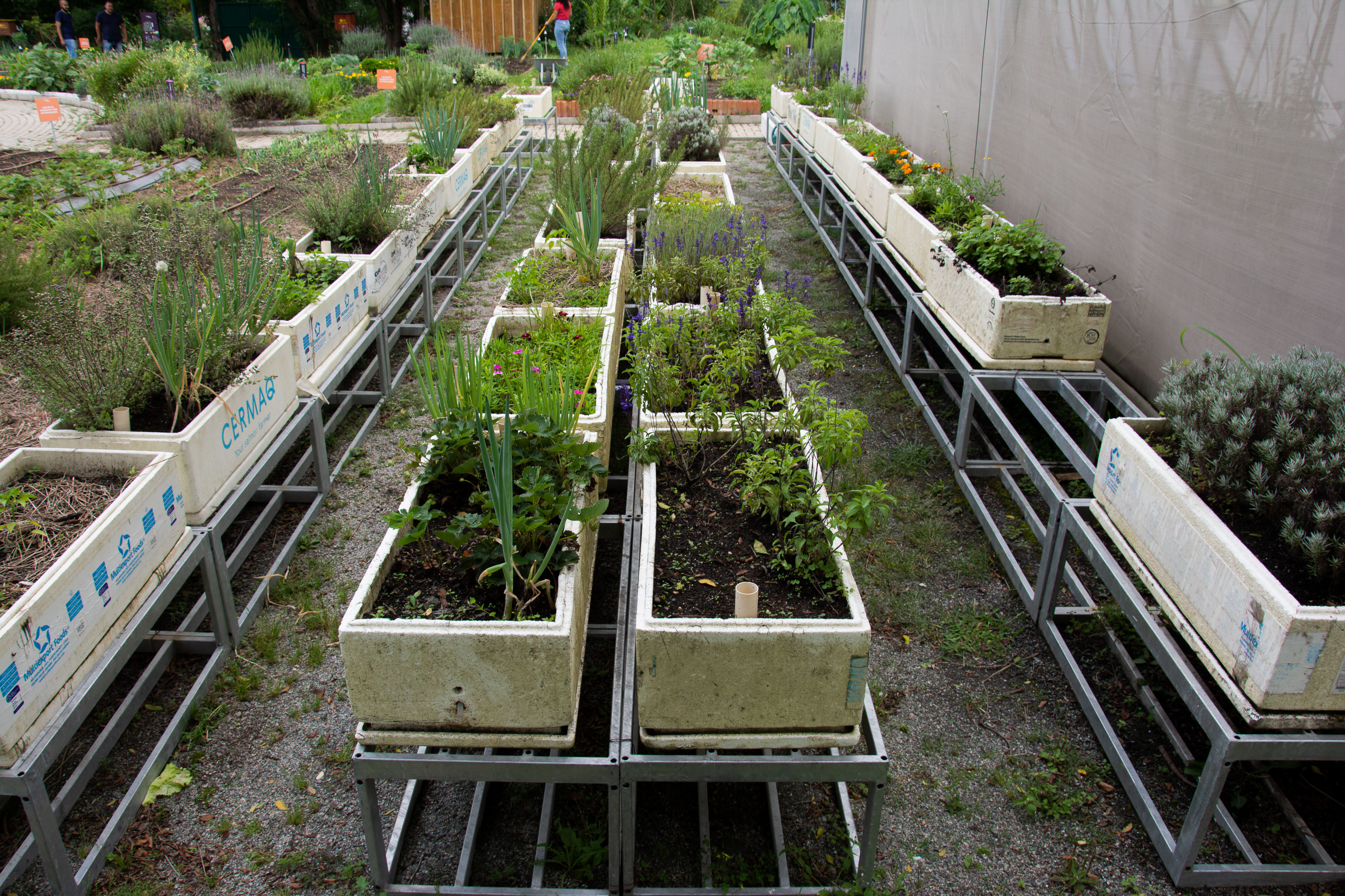 soluções criativas para horta em lavanderia