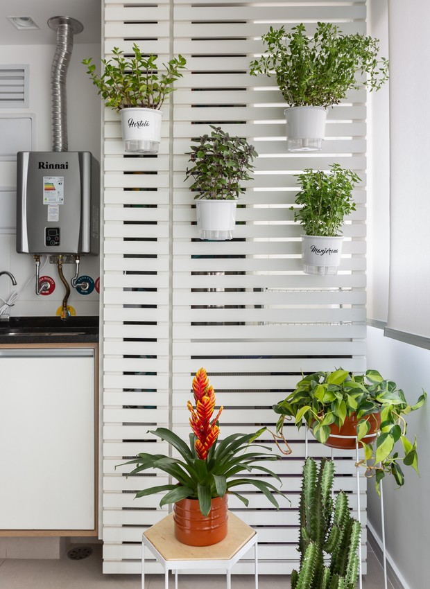 plantar temperos na lavanderia