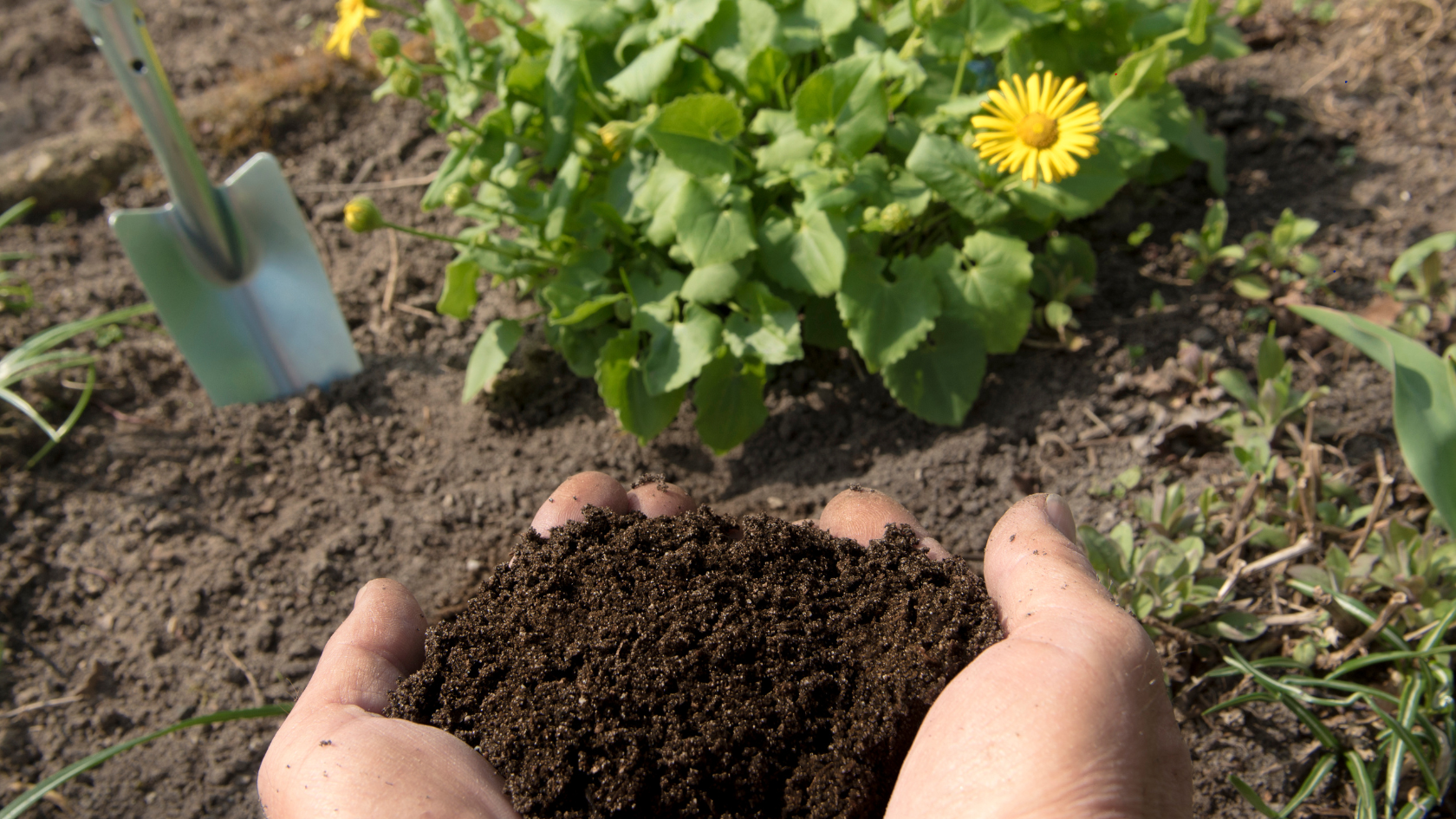 como preparar a terra para horta orgânica passo a passo