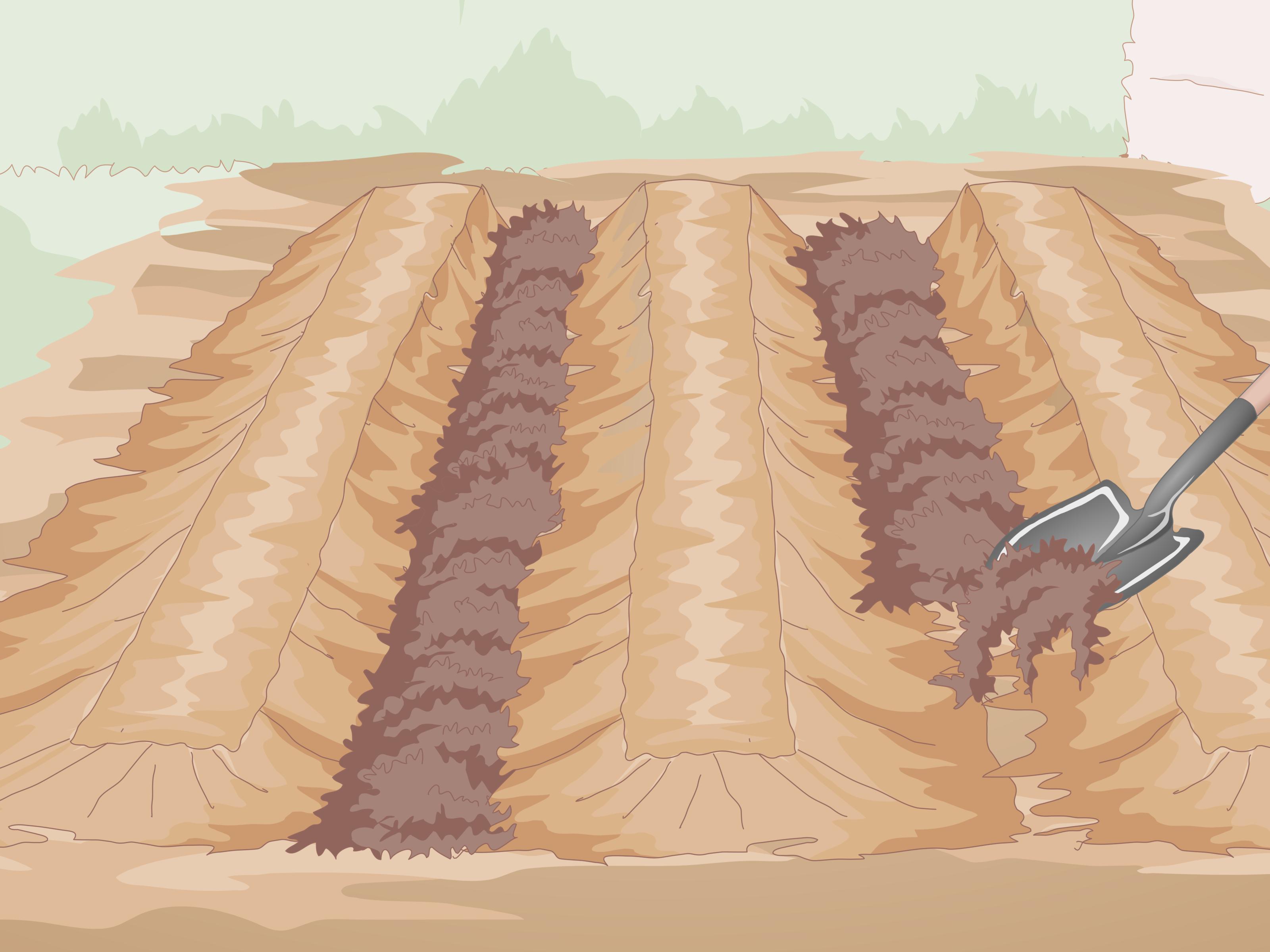 melhor terra para horta orgânica e seus nutrientes