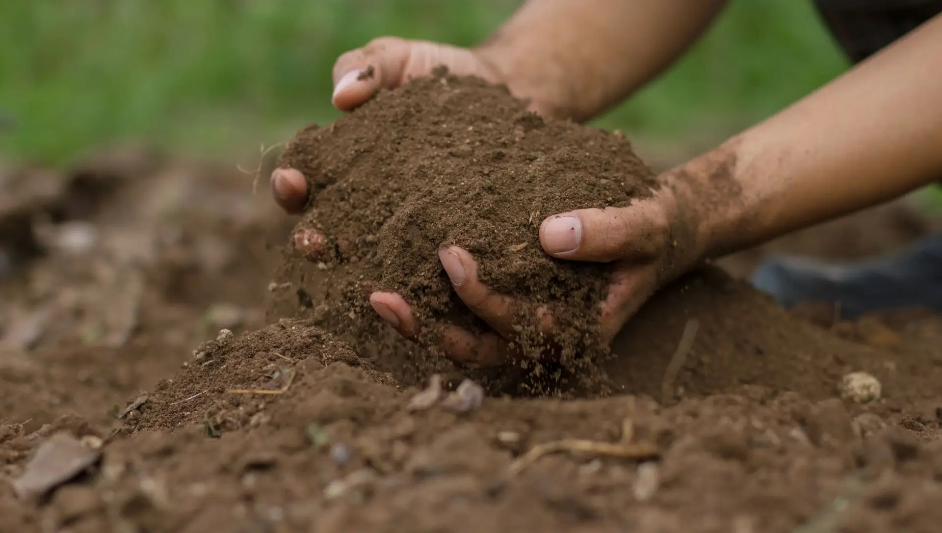 preparo de solo para cultivo orgânico em casa