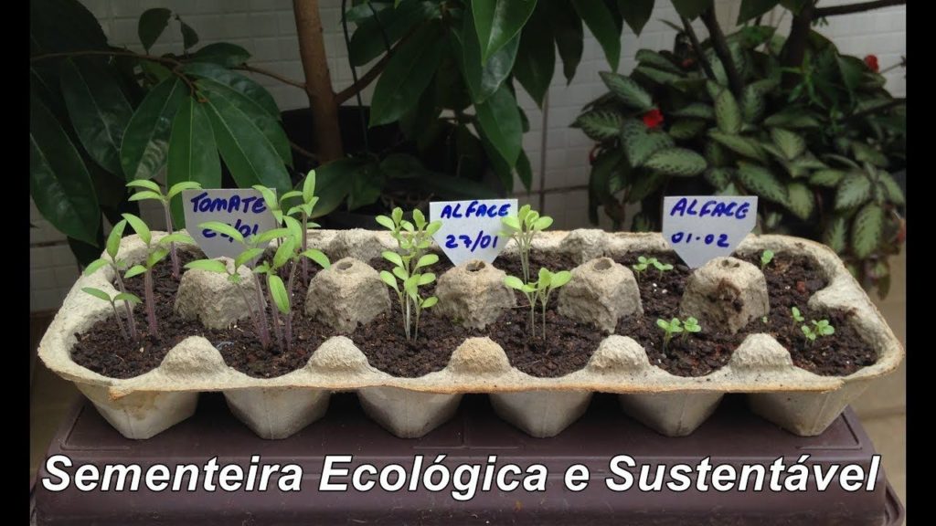 melhor terra para horta orgânica e seus nutrientes