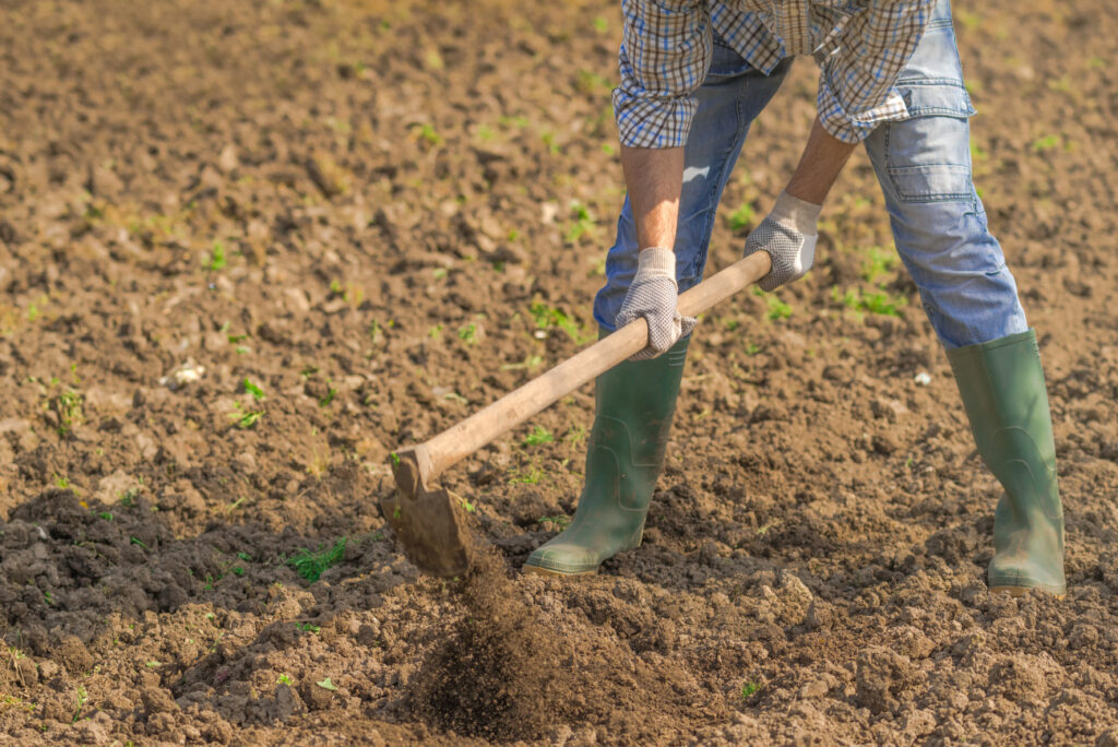 horta organica como preparar o solo corretamente