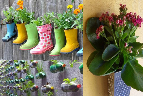 cultivo orgânico caseiro com materiais reciclados