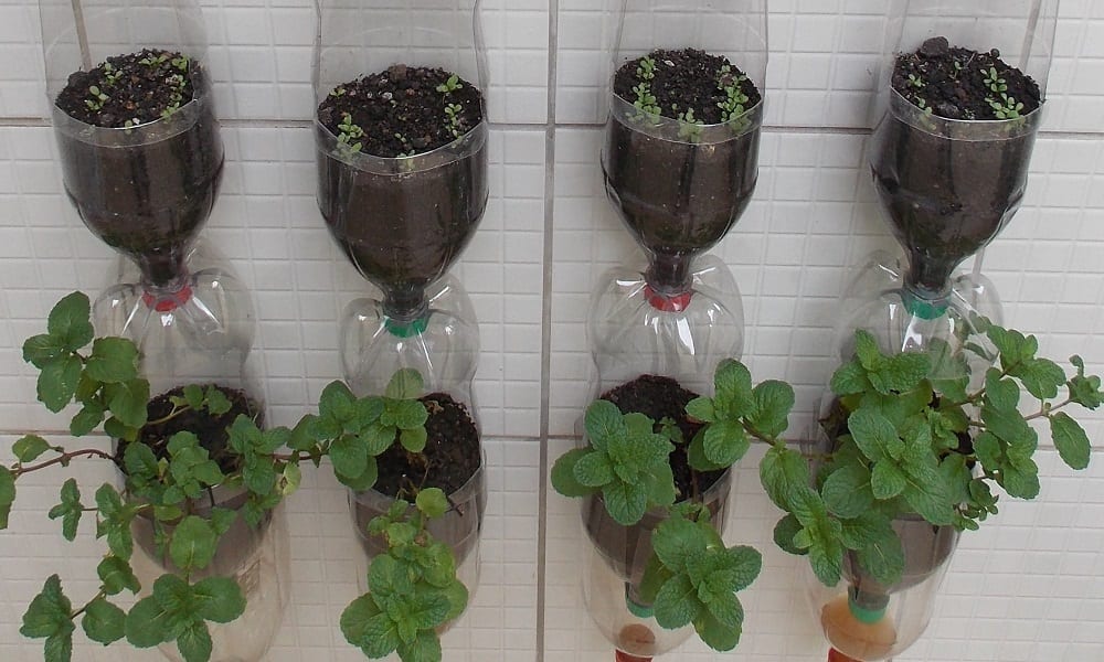 como fazer compostagem doméstica