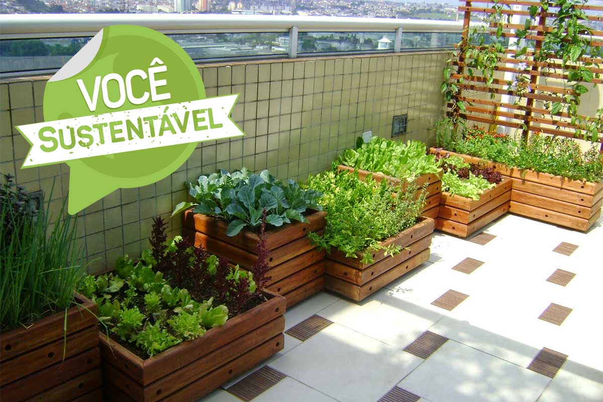 cultivo orgânico caseiro com materiais reciclados