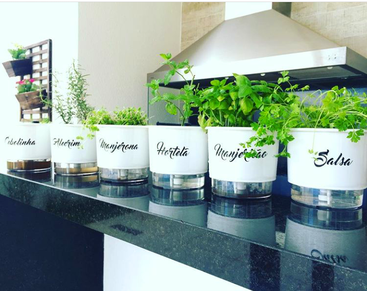 horta sustentavel em casa