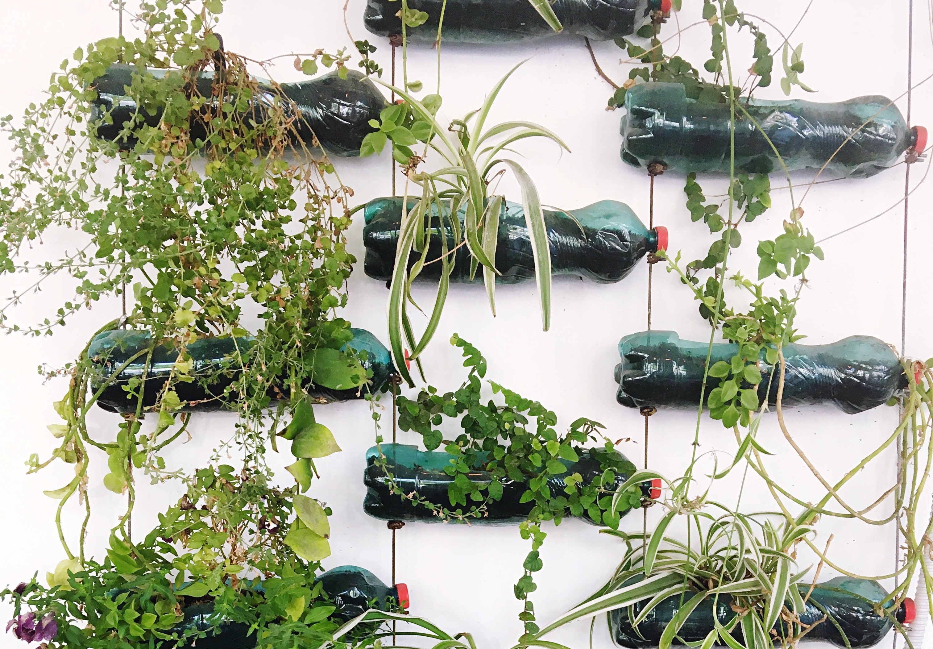 ideias de horta vertical com PET