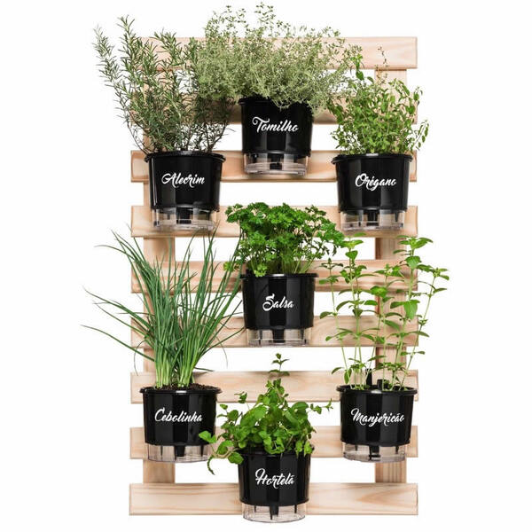horta vertical com trelicas