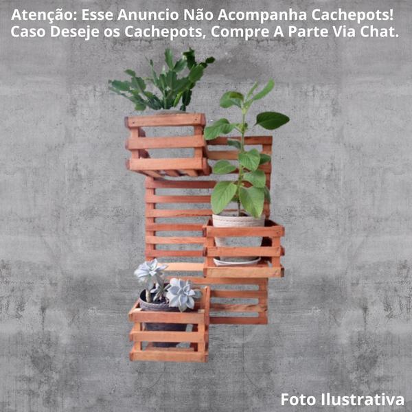 plantas trepadeiras comestíveis para horta vertical