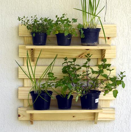 horta vertical com trelicas