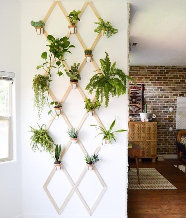 fixação segura de vasos em treliça