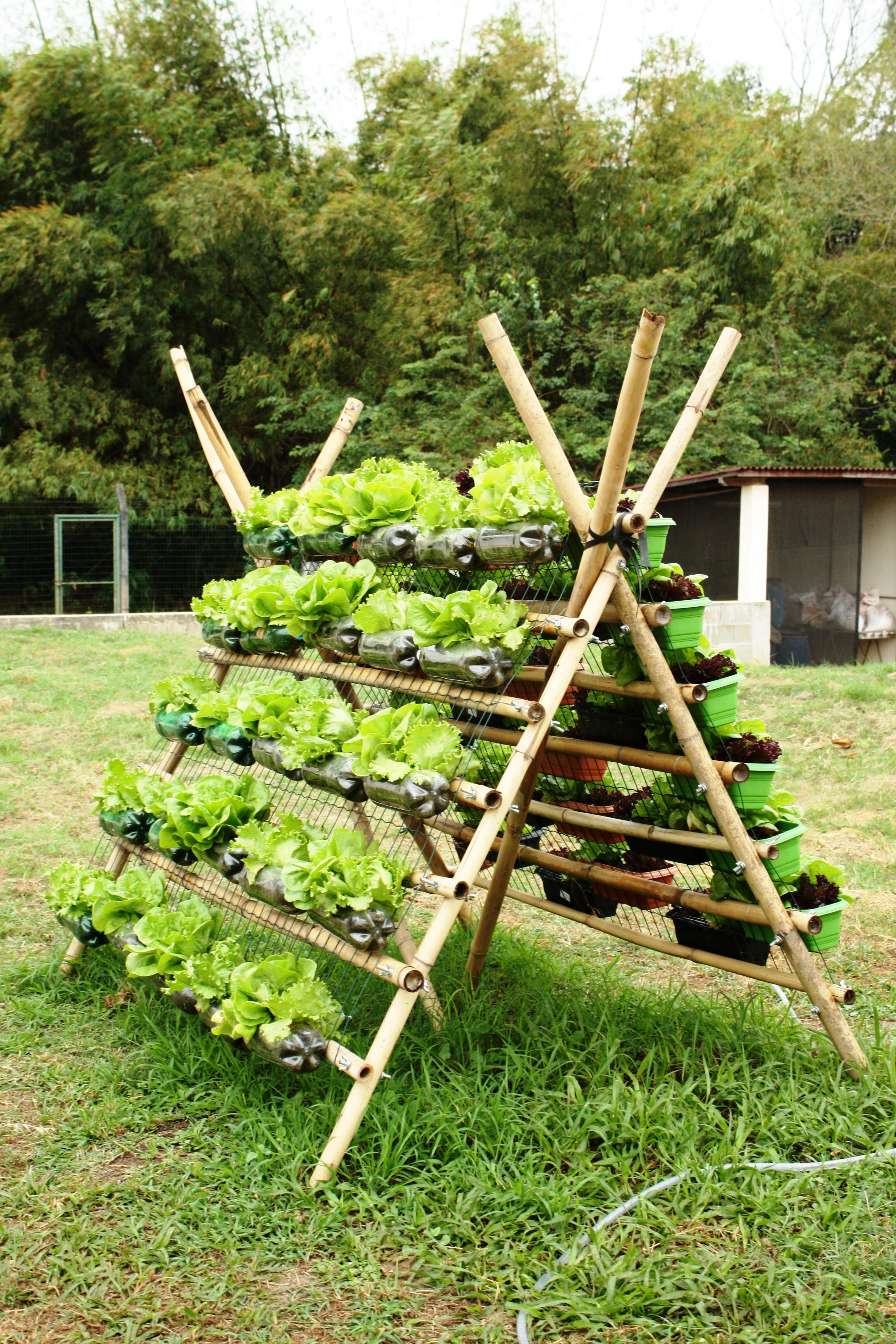 horta vertical feita com bambu