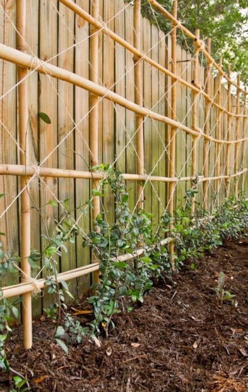 horta vertical feita com bambu