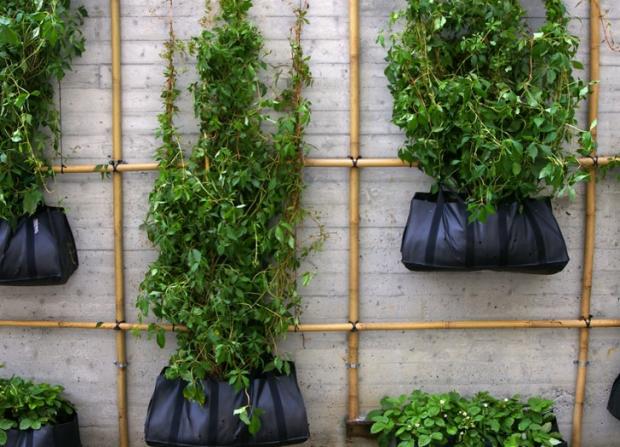 horta vertical feita com bambu