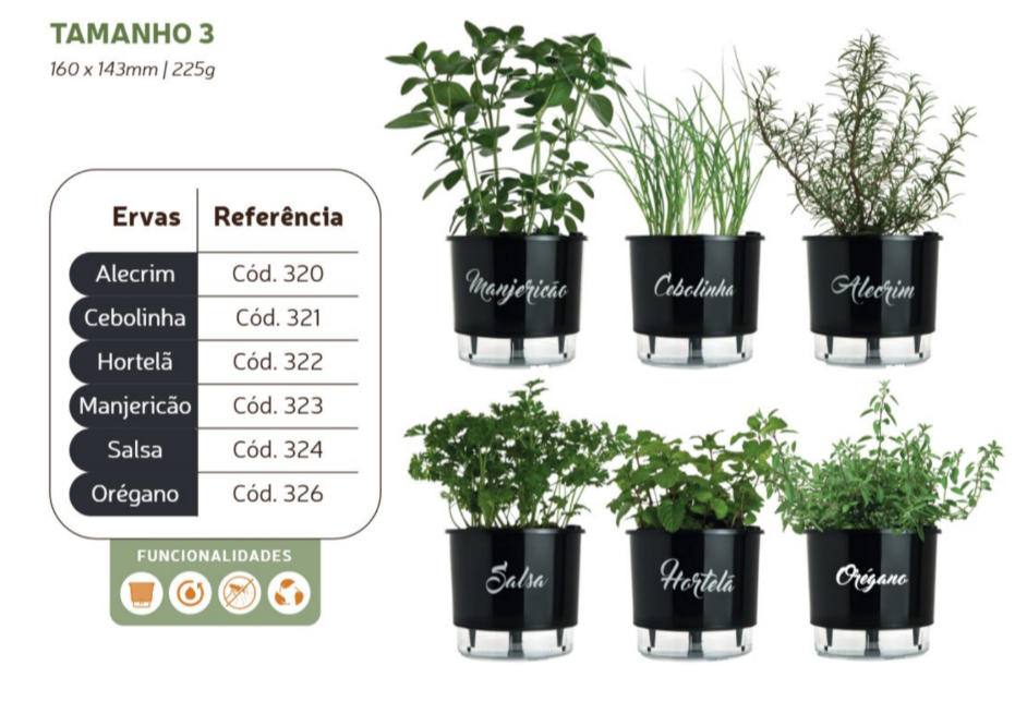 hortela em vaso como cuidar