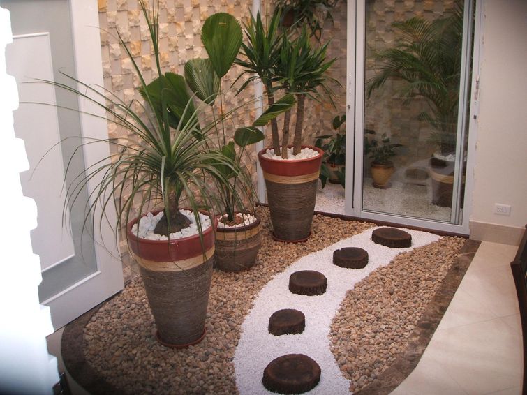 erros comuns ao cultivar flores em jardim de inverno com pouca luz