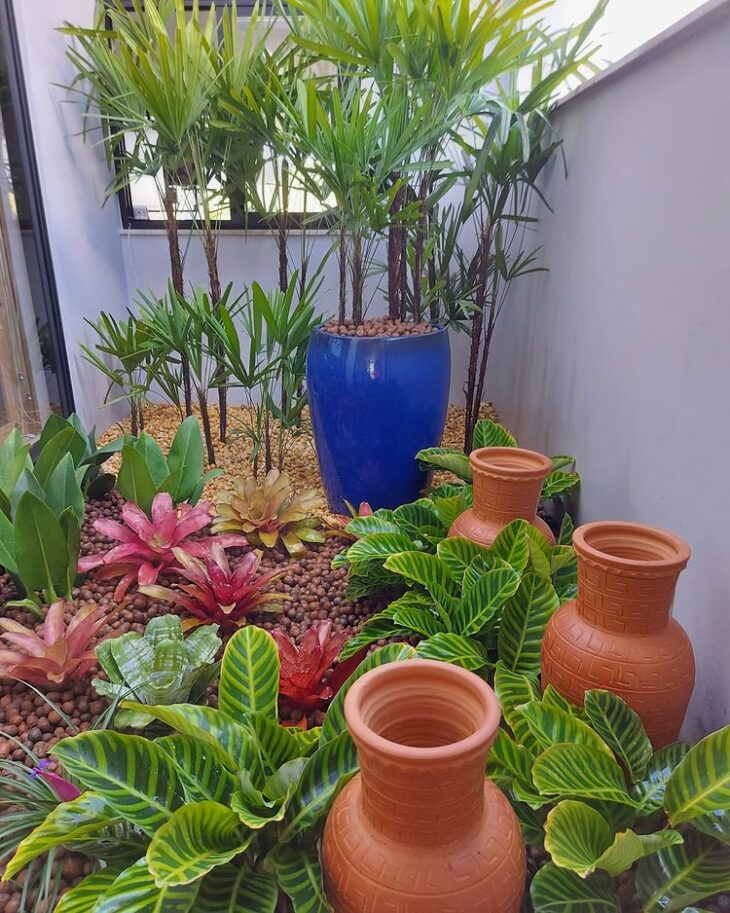 lirio da paz ou anturio qual melhor para jardim de inverno