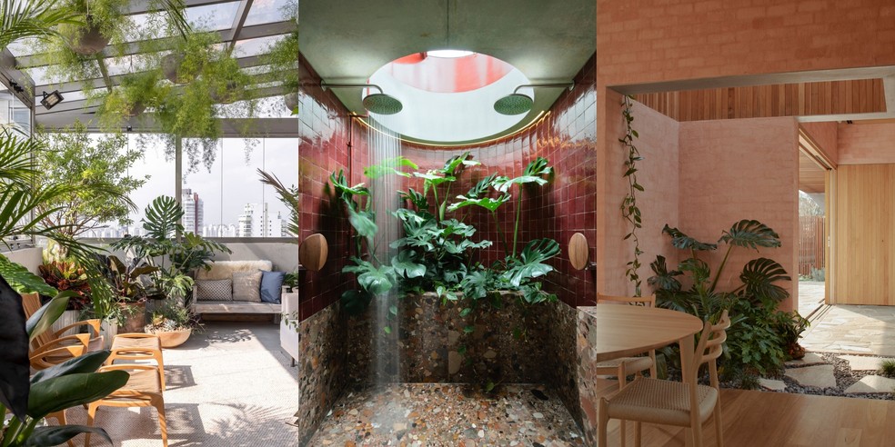 quanto custa montar um jardim de inverno com flores de sombra