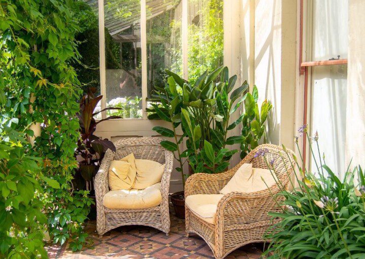 lirio da paz ou anturio qual melhor para jardim de inverno