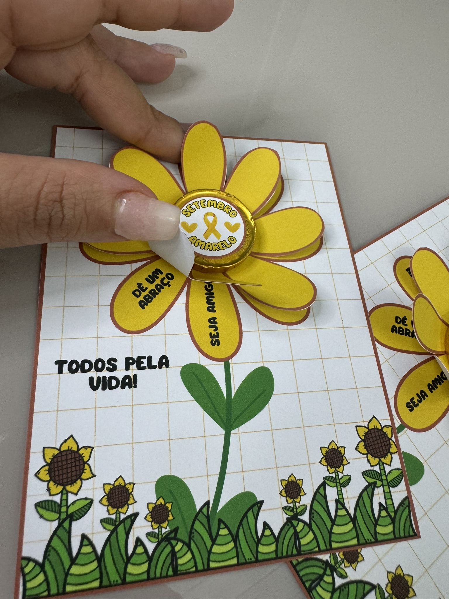 Pandeiro brasileiro: um mimo musical para celebrar a pátria