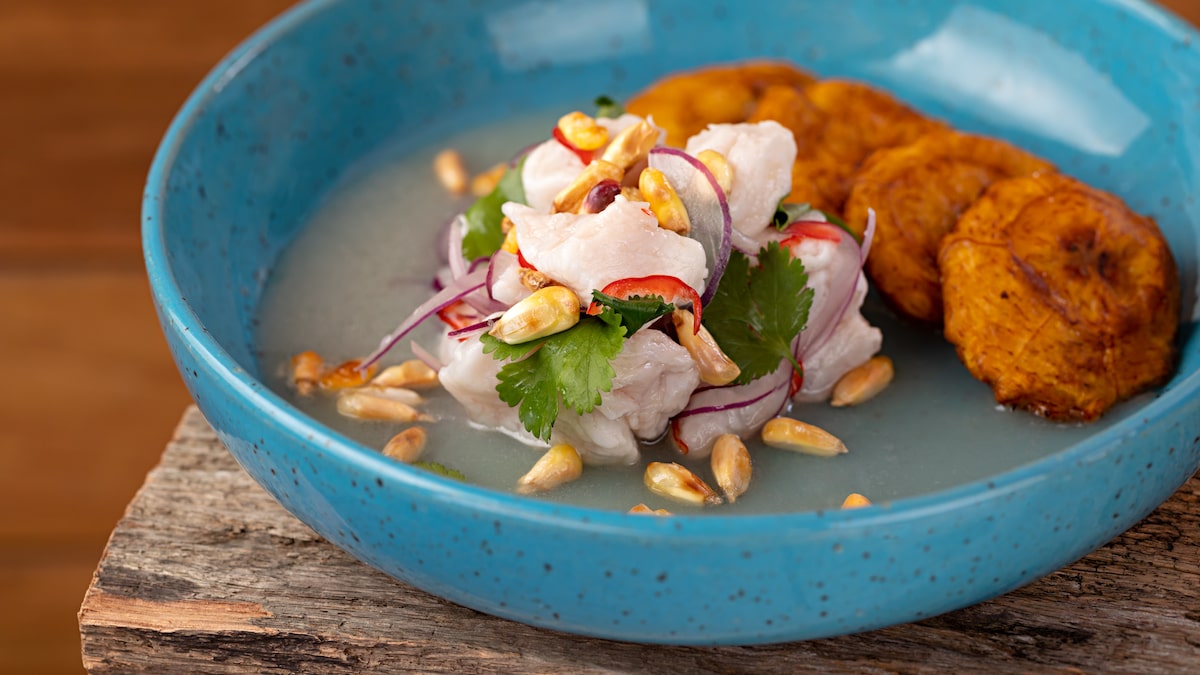 Guia Completo de Ceviches: Do Clássico ao Tropical
