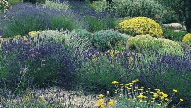 seixos de rio ou pedriscos para piso de jardim mediterrâneo