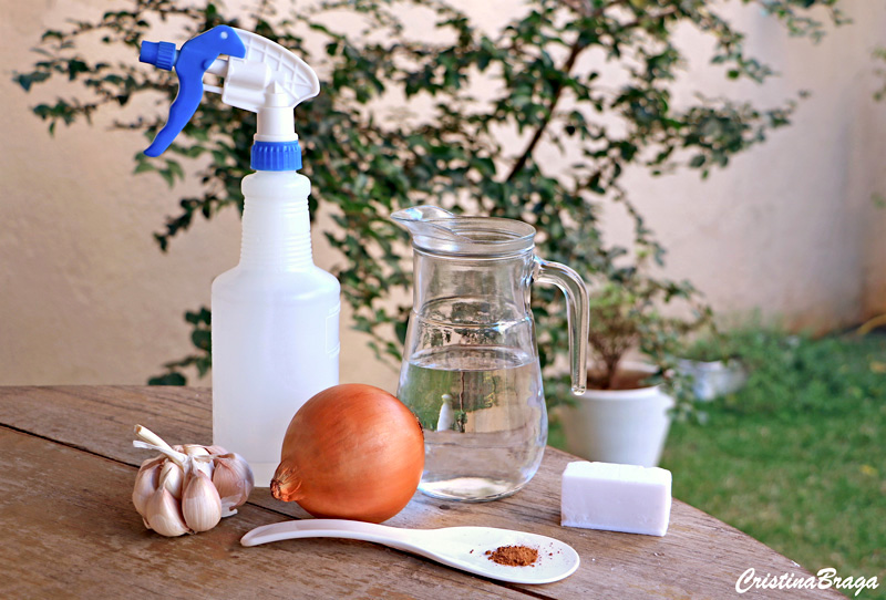 inseticida caseiro para plantas