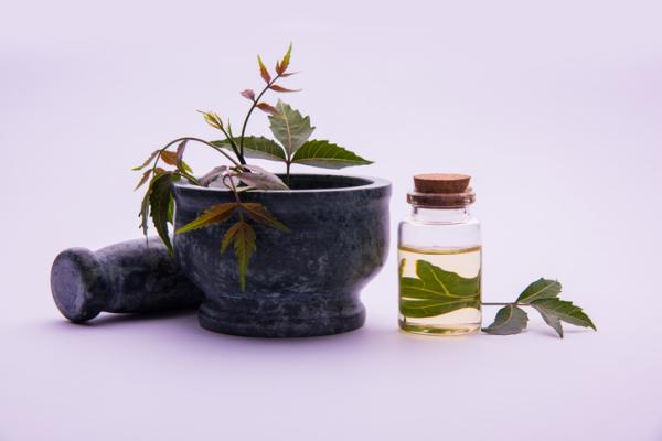 receita de inseticida natural para horta