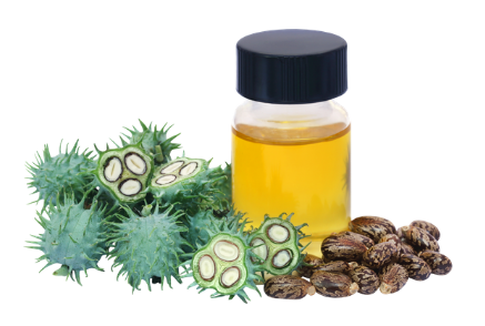 solução de óleo e detergente para cochonilhas