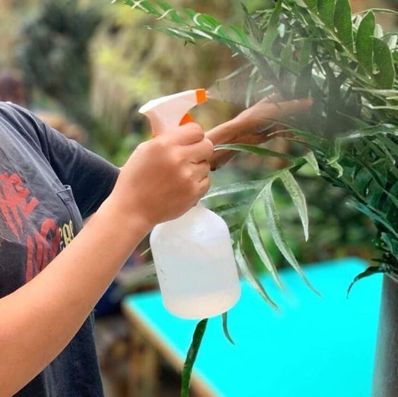 receita de inseticida natural para horta