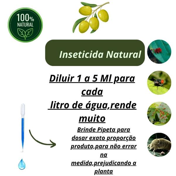 inseticida de alho e cebola para lagartas