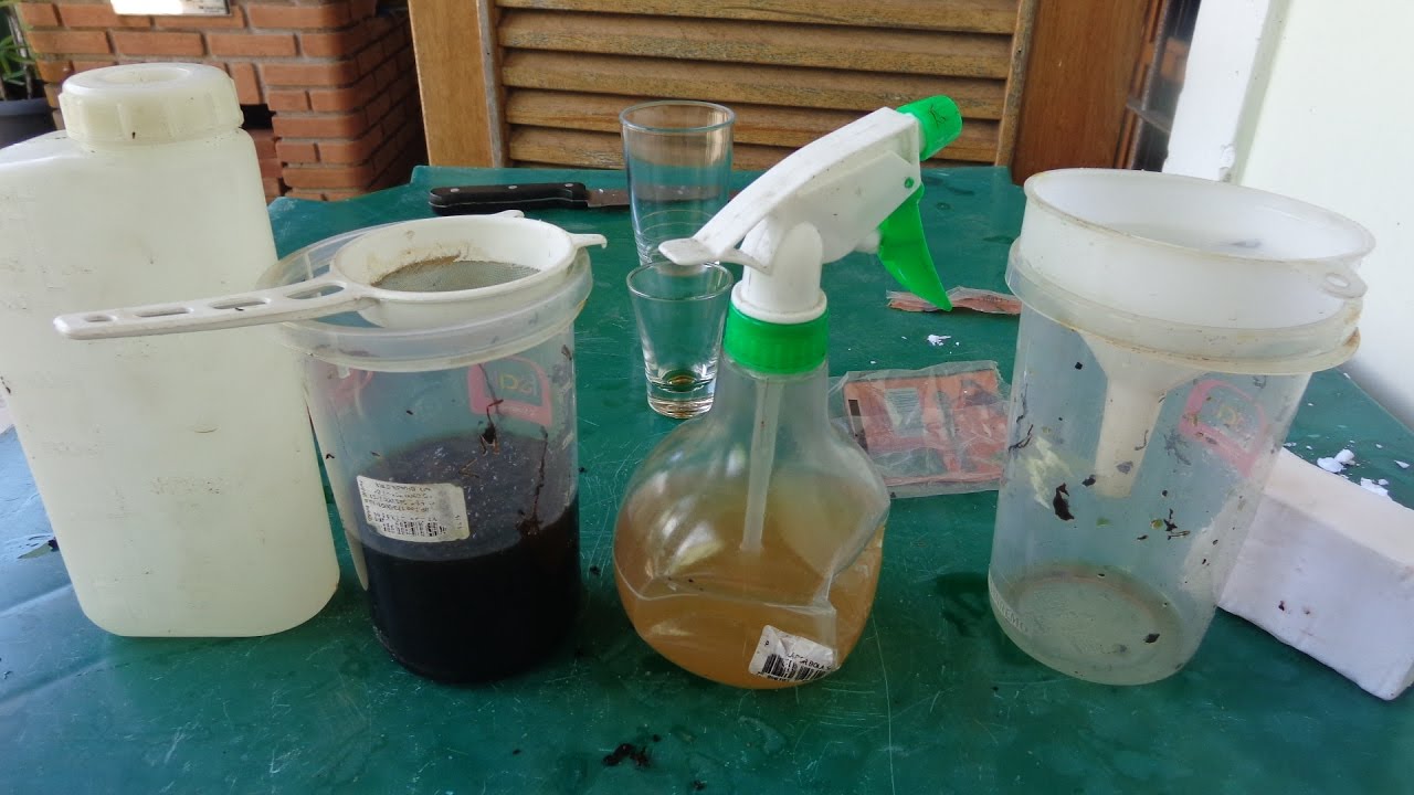 como fazer inseticida caseiro para plantas