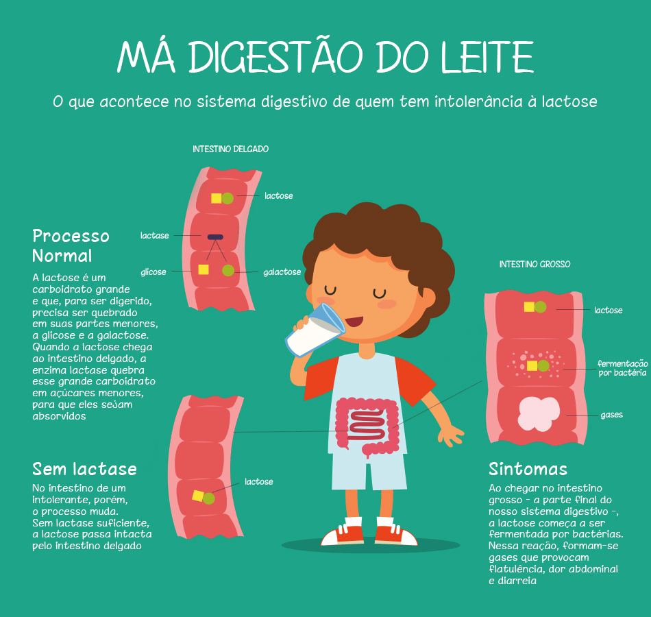 APLV vs. Intolerância à Lactose: Entenda as diferenças cruciais