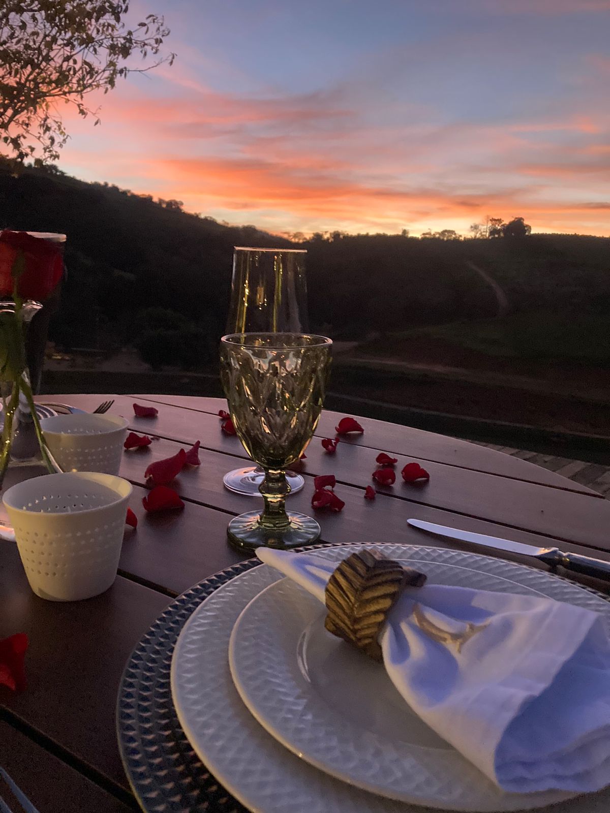 Harmonização de Vinhos para Jantares Especiais