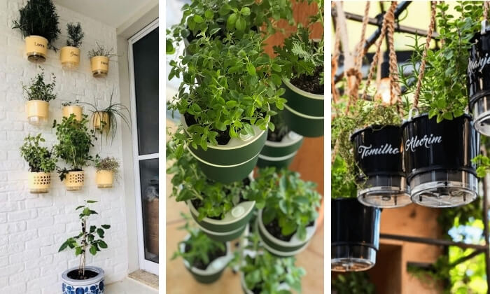 Guia Completo: Como Montar Sua Horta Vertical de Temperos em Casa